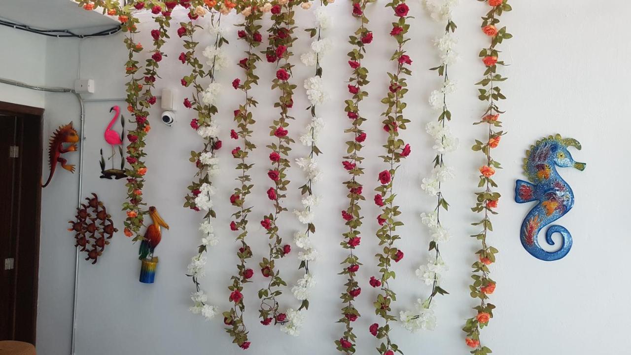 Posada Bugambilia 马萨特兰 外观 照片